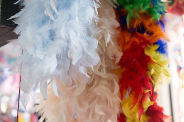 Dekoratif amaçlar için güzel kuş tüyleri