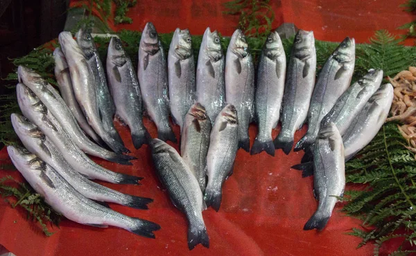 Frisch Zum Verkauf Auf Einem Fischmarkt — Stockfoto