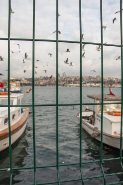 Parmaklıklar arkasında gökyüzünde uçan görülen kuş sürüsü