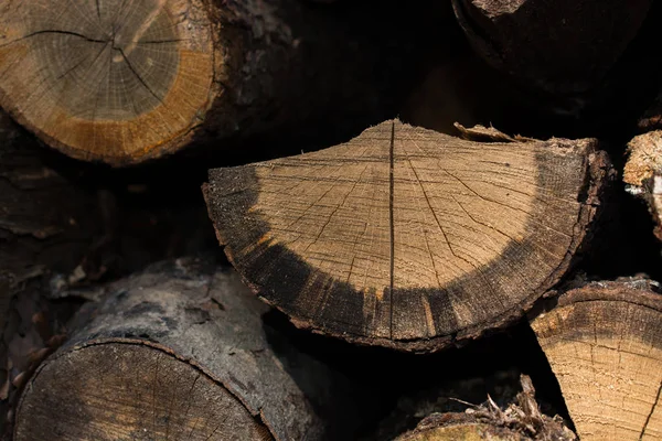 Stapel Von Baumstämmen Holzstämme Wald — Stockfoto