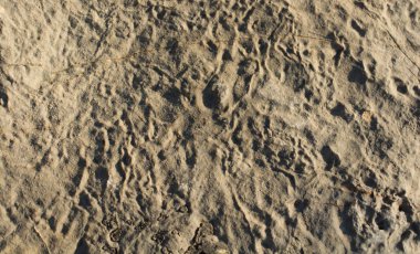 Arka plan dokusu olarak doğal kaya veya taş yüzeyi