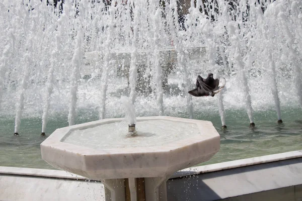 Pombo Cidade Lado Água Uma Fonte — Fotografia de Stock