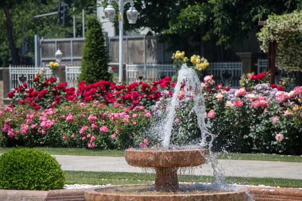 Agua Brotando Fuente Jardín Rosas — Foto de Stock