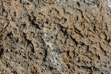 Doğal kaya, arka plan dokusu olarak taş yüzeyi.