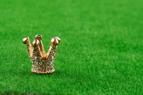 Kleine Goldene Modellkrone Gras — Stockfoto