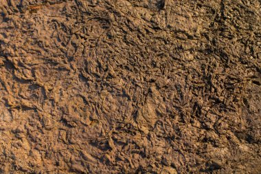 Arka plan dokusu olarak doğal kaya veya taş yüzeyi