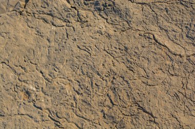 Arka plan dokusu olarak doğal kaya veya taş yüzeyi