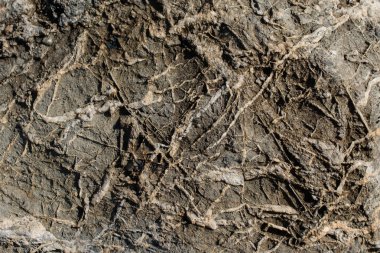 Arka plan dokusu olarak doğal kaya veya taş yüzeyi