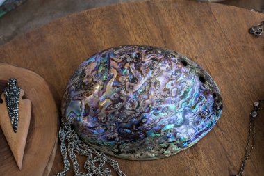 Masanın üzerindeki deniz kabuğu çok güzel.