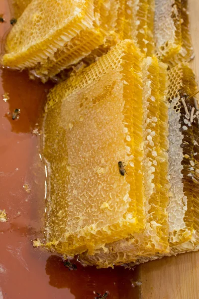 液体状の新鮮な天然の黄色の蜂蜜 — ストック写真