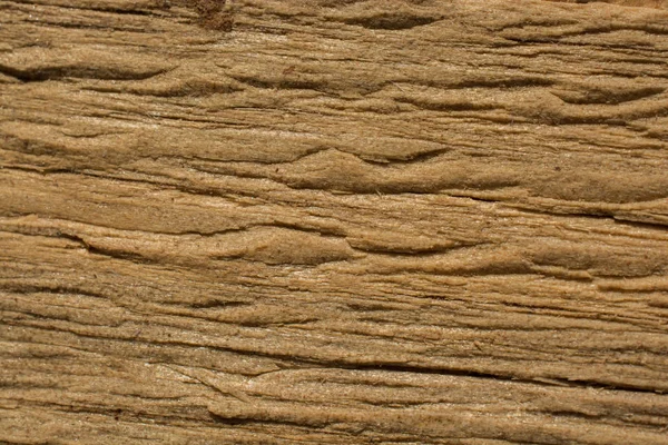 Textura Madera Con Patrones Naturales Como Fondo —  Fotos de Stock