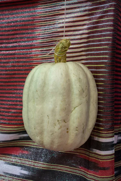 Pompoen Gebruiken Voor Het Koken — Stockfoto