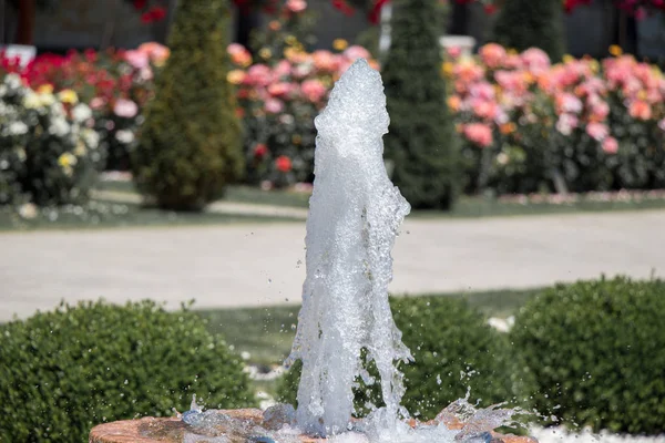 Agua Brotando Fuente Jardín Rosas — Foto de Stock