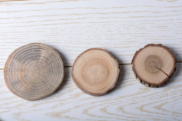 圆形小块木原木 — 图库照片