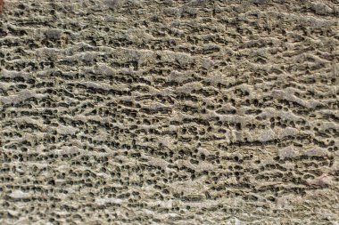 Ağaç kabuğu dokusunu ahşap arka plan olarak kapat