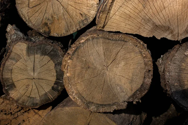 Empilement Troncs Arbres Bûches Bois Dans Forêt — Photo