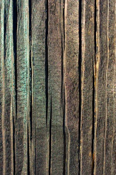 Текстура Дерева Природними Візерунками Фон — стокове фото