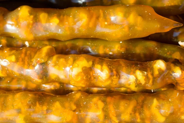 Türk stili meyve hamuru atıştırmalık olarak kurutuldu