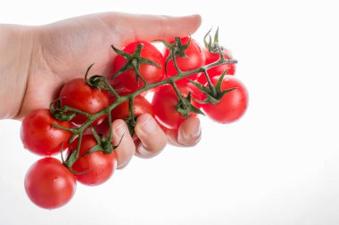Kırmızı olgun lezzetli kiraz domates el avuç