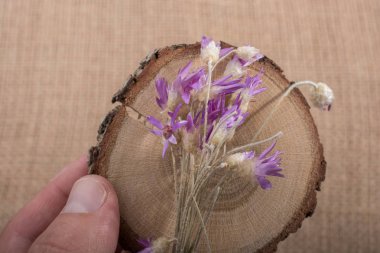 Elele tutuşun Güzel doğal bahar çiçekleri