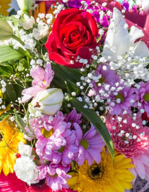 Güzel renkli doğal bahar çiçekleri bir doğa arka planıdır.