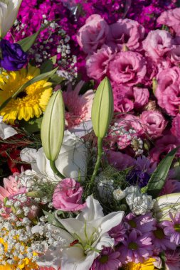 Güzel renkli doğal bahar çiçekleri bir doğa arka planıdır.