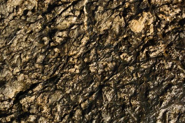 Arka plan dokusu olarak doğal kaya veya taş yüzeyi