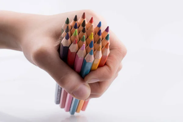 Hand Holdin Color Pencils White Background — Stock Photo, Image