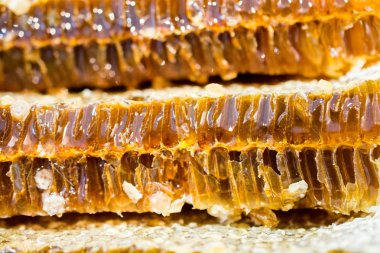 Tatlı taze bal mühürlü tarak çerçevesinde