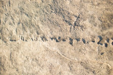 Soyut bir grunge arkaplan olarak çatlak beton desenli