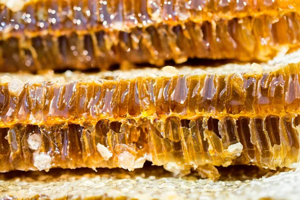 Tatlı taze bal mühürlü tarak çerçevesinde