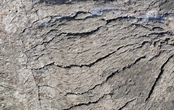 Soyut grunge arkaplan kalıpları olarak somut doku