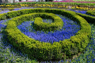 Arka plan olarak güzel taze çiçekler