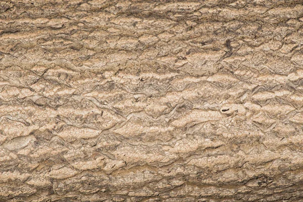 Duvar yüzeyi basit bir arkaplan dokusu deseni olarak