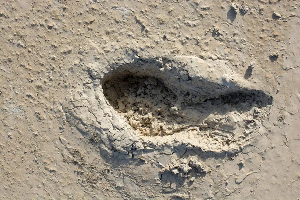 Voetstap Patroon Gezien Een Betonnen Achtergrond — Stockfoto