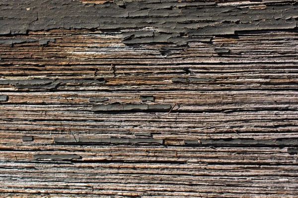 Arkaplan olarak doğal desenli ahşap doku