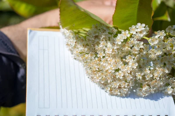 Renkli vahşi bahar çiçekleri sarmal üzerinde bir defter