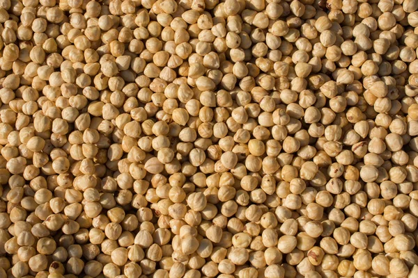 食品の背景としてナッツの Unshelled ヘーゼル ナッツ種子を乾燥 — ストック写真