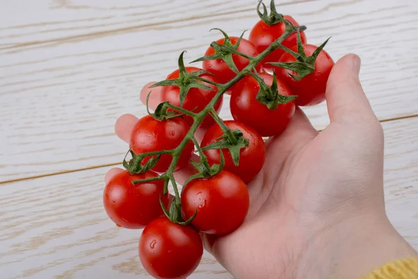 一束红色成熟可口的樱桃西红柿在手里 — 图库照片