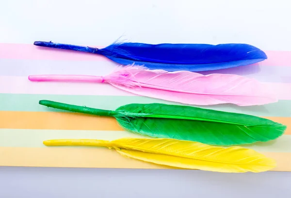 Collection of bright colored feathers  on a colorful background