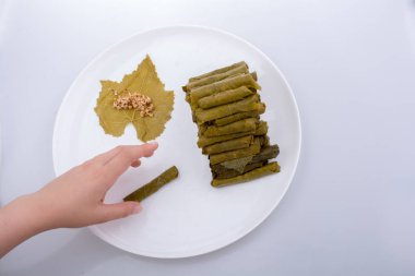 Türk usulü doldurulmuş üzüm yaprakları yapan eller