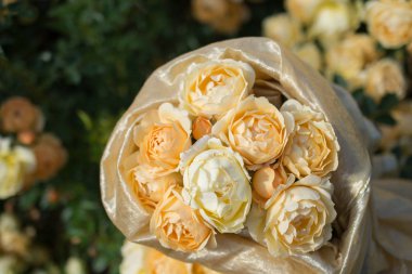 Bahar bahçesinde çiçek açan güzel güller