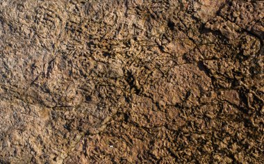 Arka plan dokusu olarak doğal kaya veya taş yüzeyi