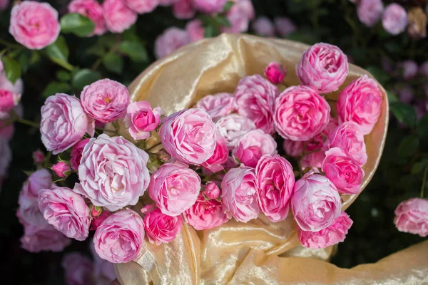 Цветущий Красивый Букет Роз Весеннем Саду — стоковое фото