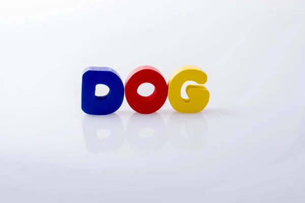 Parola Dog Scritta Con Blocchi Lettere Colorati Bianco — Foto Stock