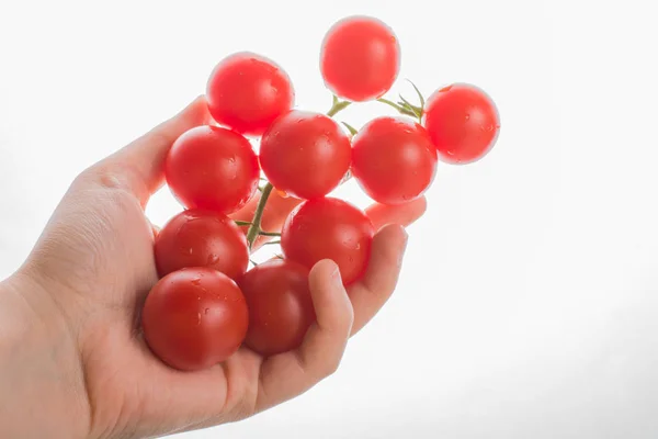 Bündel Roter Reifer Leckerer Kirschtomaten Der Hand — Stockfoto