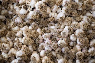 Pazar yerinde bir demet sarımsak soğanı.