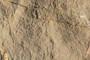 Arka plan dokusu olarak doğal kaya veya taş yüzeyi