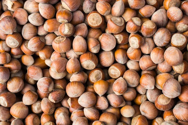 Dried Unshelled Hazelnuts Seeds Whole Nuts Background — Stock Photo, Image