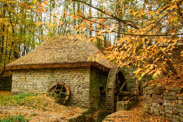 Wassermühle Wald — Stockfoto